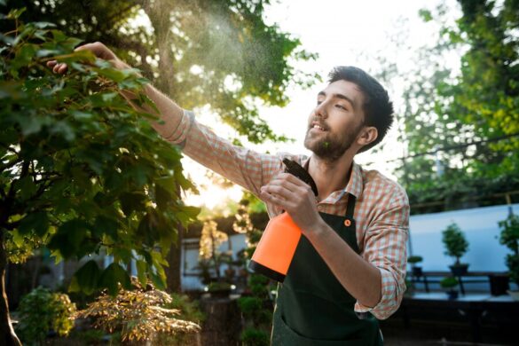  Belfast Tree Surgeons